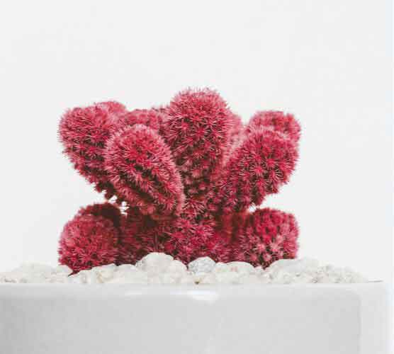 便宜的自助平台推荐的DDOS攻击