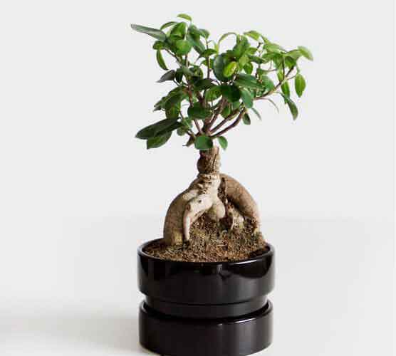 在线DDOS压力测试网页端