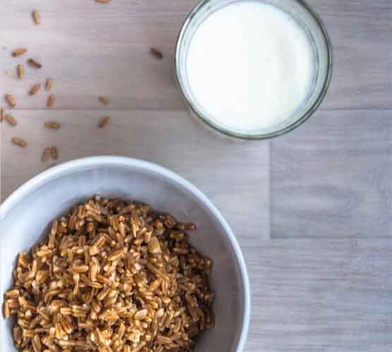 手机攻击器APP下载