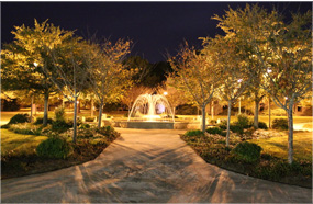 【安卓手机版】极速下载的网站防ddos攻击